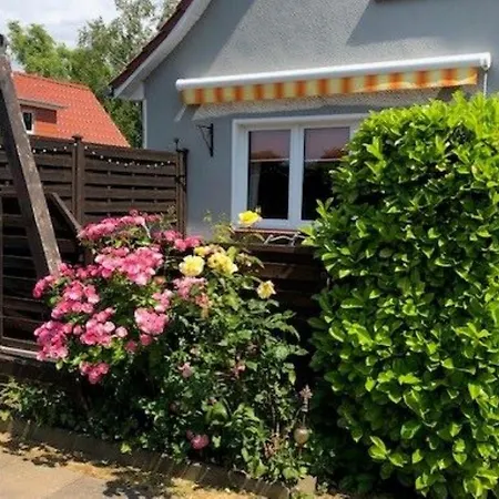 Neumann - Ein Ganzes Haus Fuer Ihren Urlaub! * Hessenburg