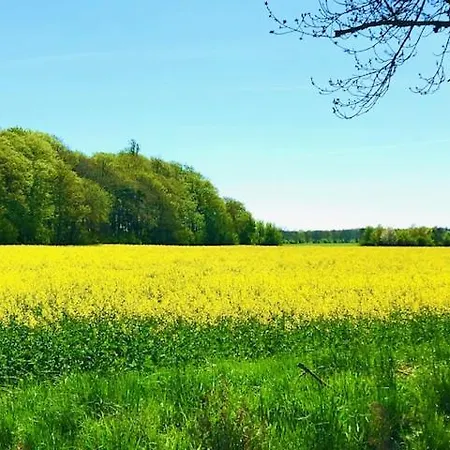 Neumann - Ein Ganzes Haus Fuer Ihren Urlaub!