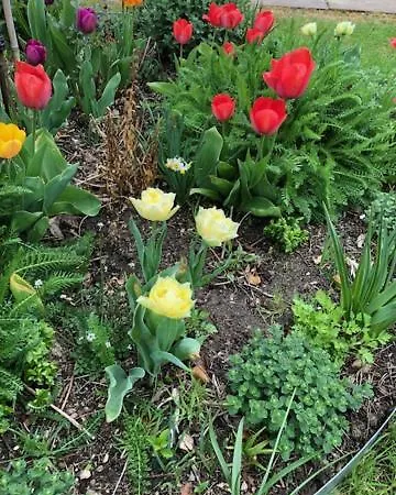 Neumann - Ein Ganzes Haus Fuer Ihren Urlaub! Apartmán