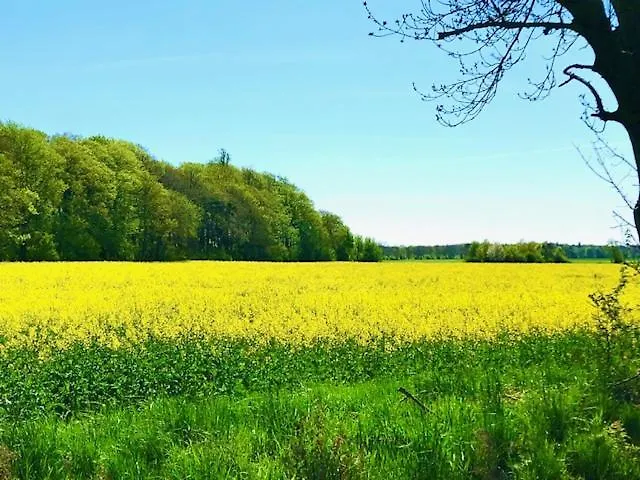 Neumann - Ein Ganzes Haus Fuer Ihren Urlaub!