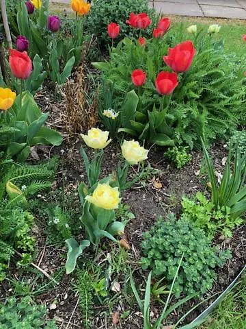 Neumann - Ein Ganzes Haus Fuer Ihren Urlaub! 公寓